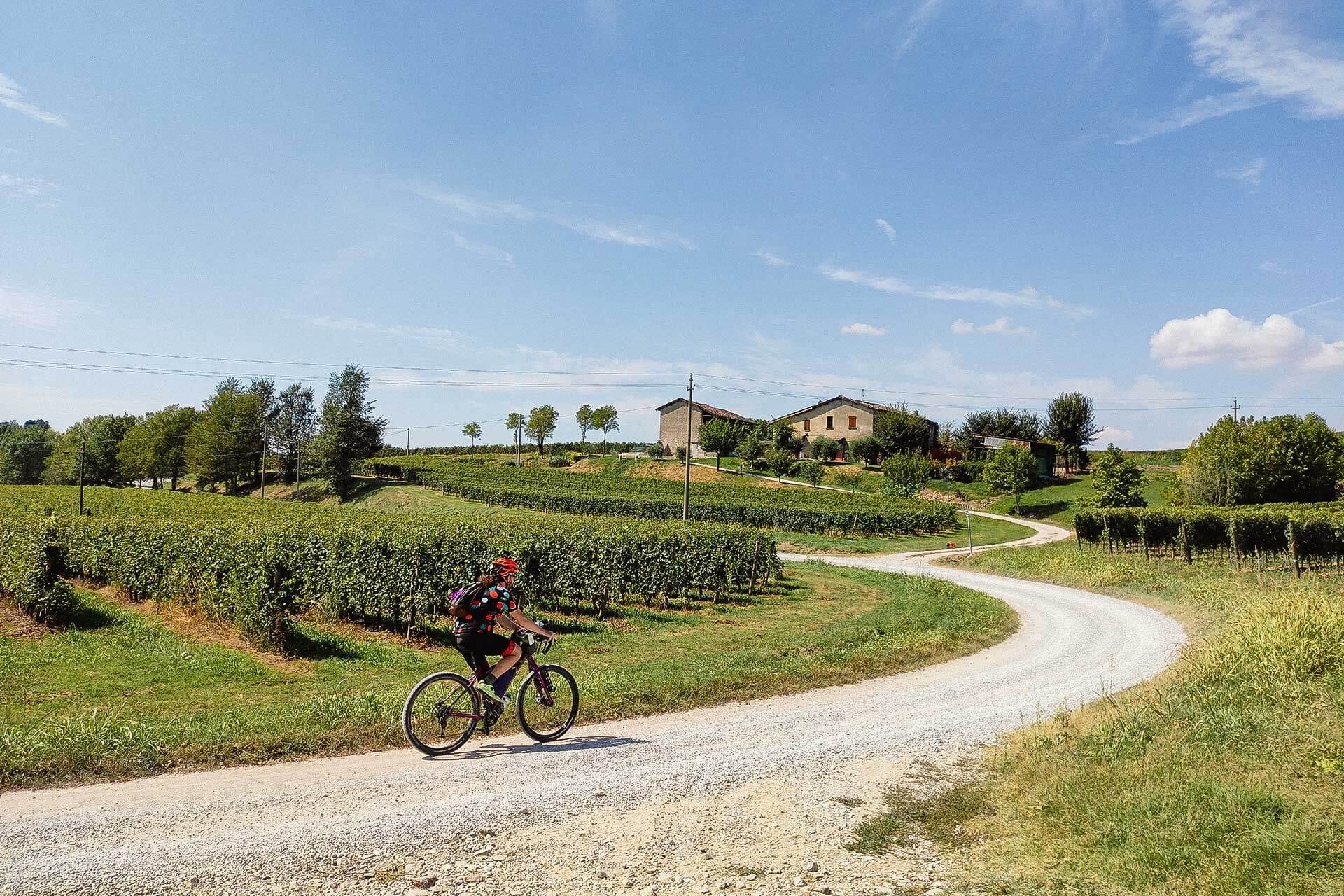 Setup Bikepacking da Trail e Gravel | Cockpit