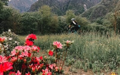 Lago Maggiore in bici: il Flowers Loop tra Verbania, lago di Mergozzo e Riserva di Fondotoce