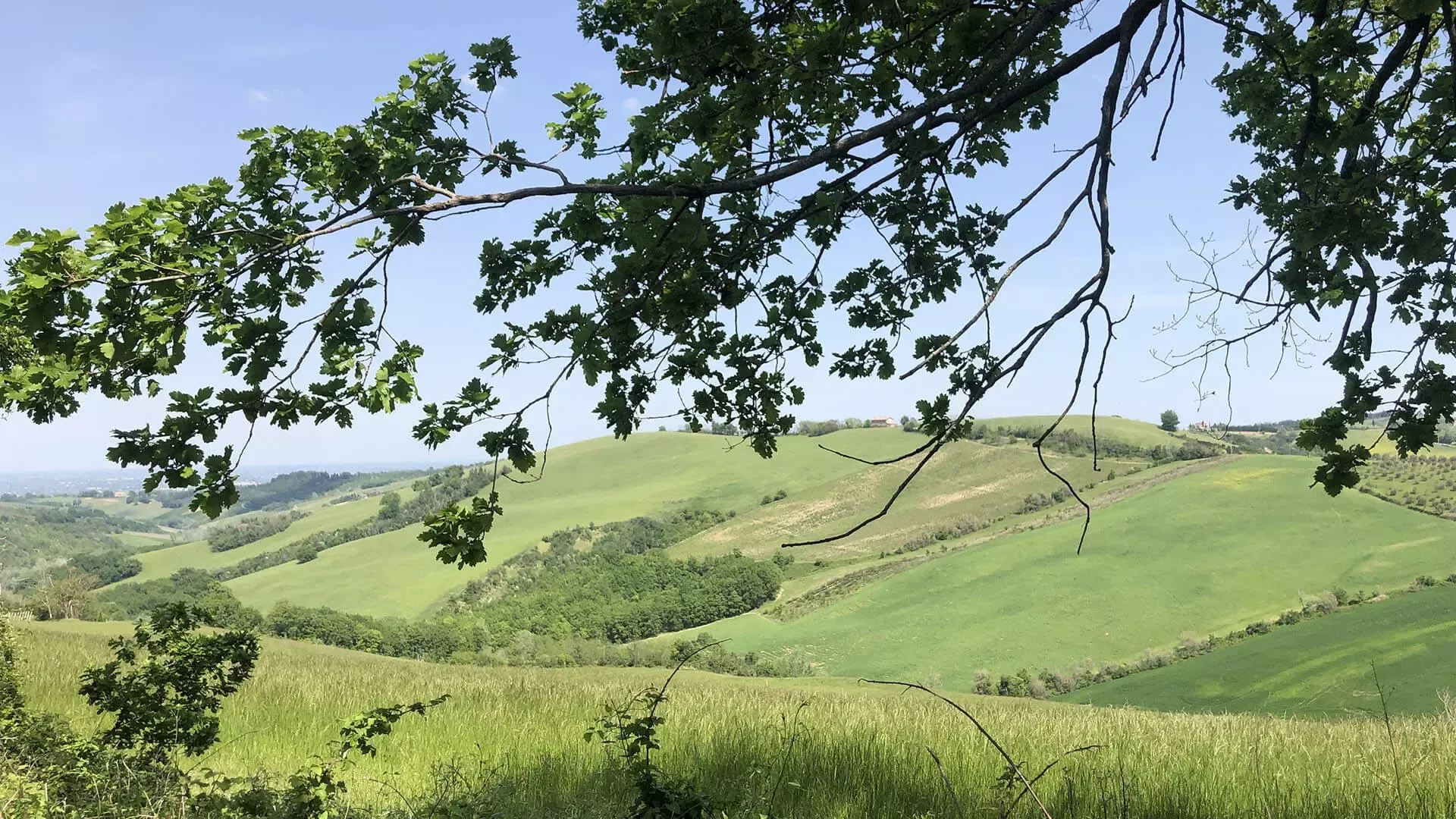 Romilia Bike Trail 2022 | Panorama collinare