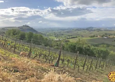 Matte Trail 2022 | Astesana Trail ed. 0 | Vista su Bricco Lù e colline attorno