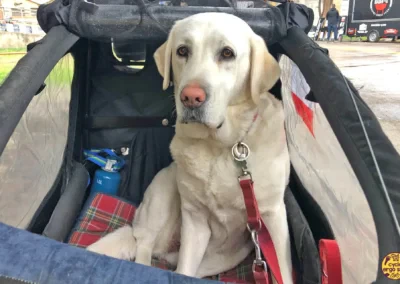 Fiera del Cicloturismo 2023 | Bellissima Erin