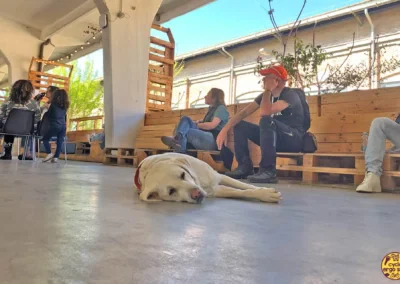 Fiera del Cicloturismo 2023 | Erin spiaggiata