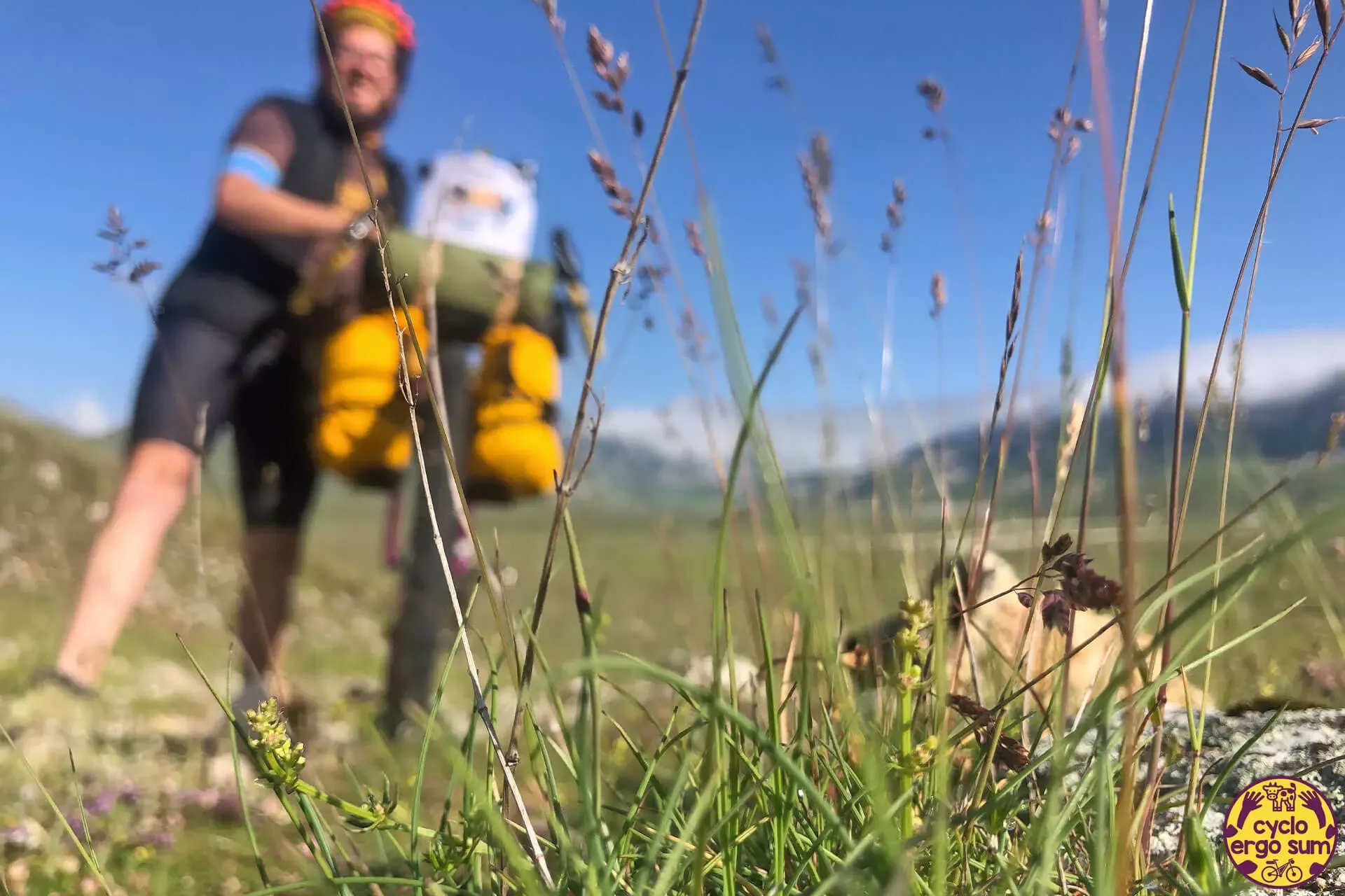 MAGS Abruzzo Trail 2023 | Sfocato e felice