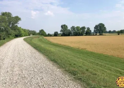 Verso BAM! 2023 | Sterratina