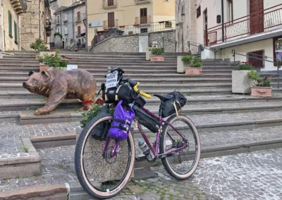 Trail dei Parchi | Orso