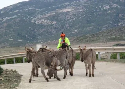 Asinara in bici | Influencer