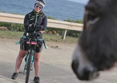 Asinara in bicicletta | Gelosie