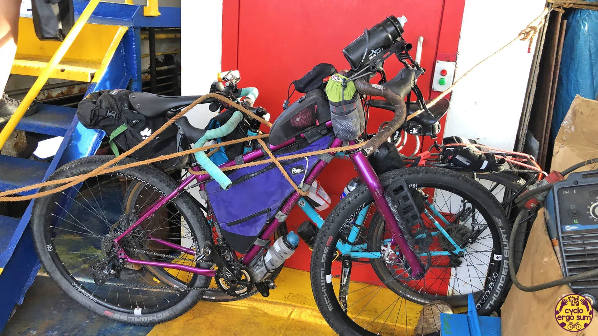 Asinara in bicicletta | Trasporto bici sul traghetto