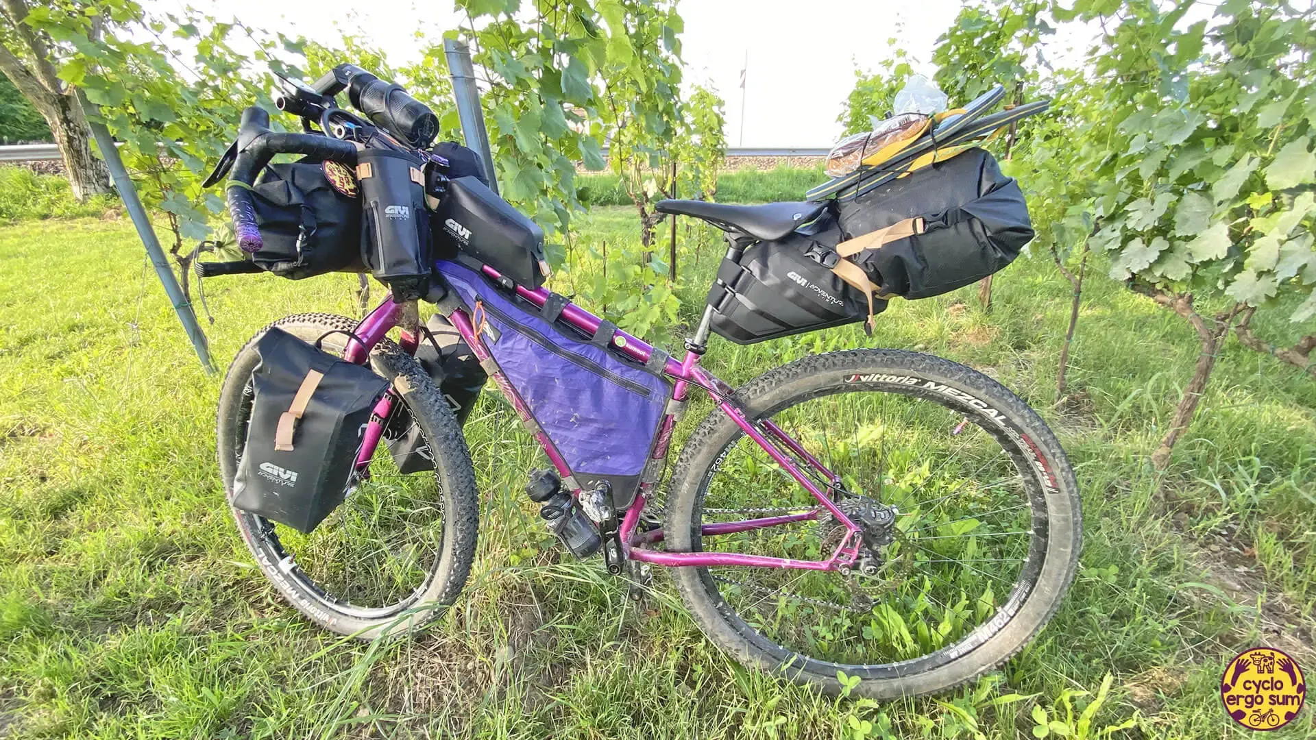 Setup Bikepacking da Trail e Gravel | Tra i vigneti