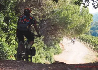 RITMO Tuscany Bike Festival | Pedalando su strade bianche