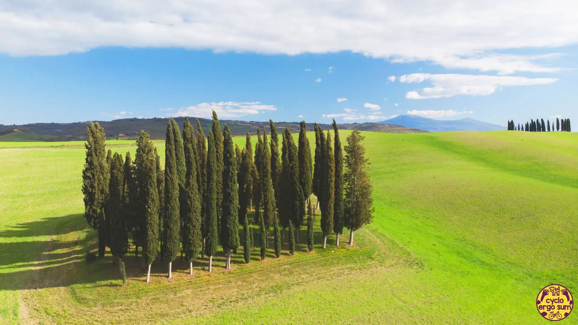 Gravel in Val d'Orcia | Cipressi di San Quirico con colori spaziali