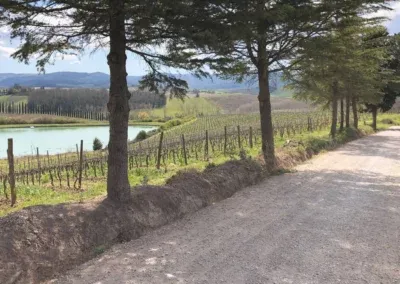 Val d'Orcia in bici | sulla Via Francigena