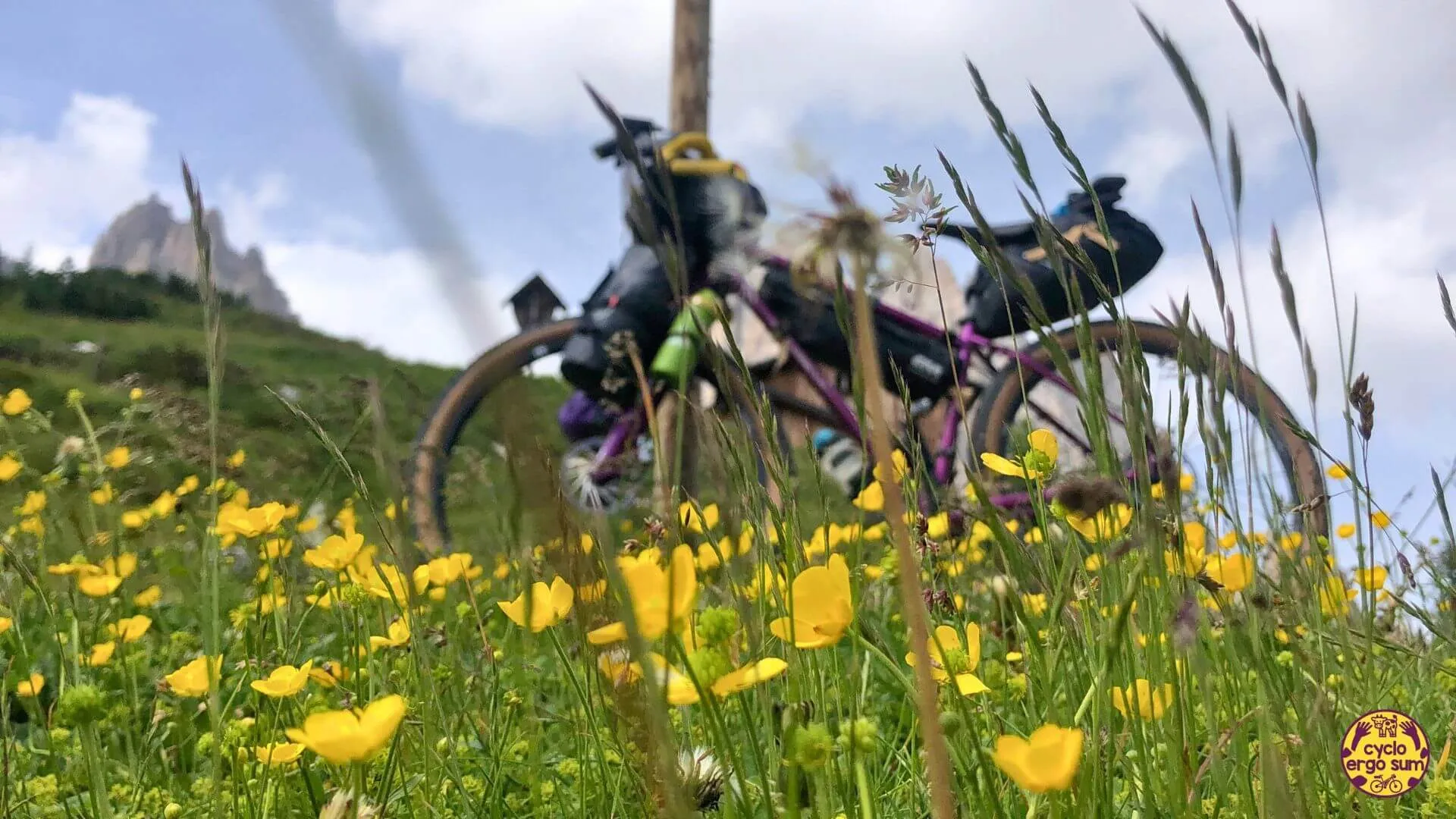 Salsa Fargo: storia, evoluzione e rivoluzione del bikepacking