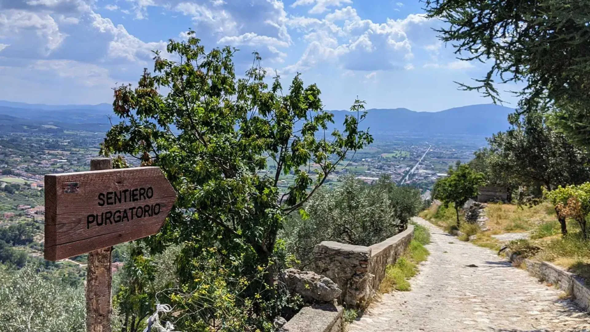 Crocus di Gigi Mondani | Con la stele