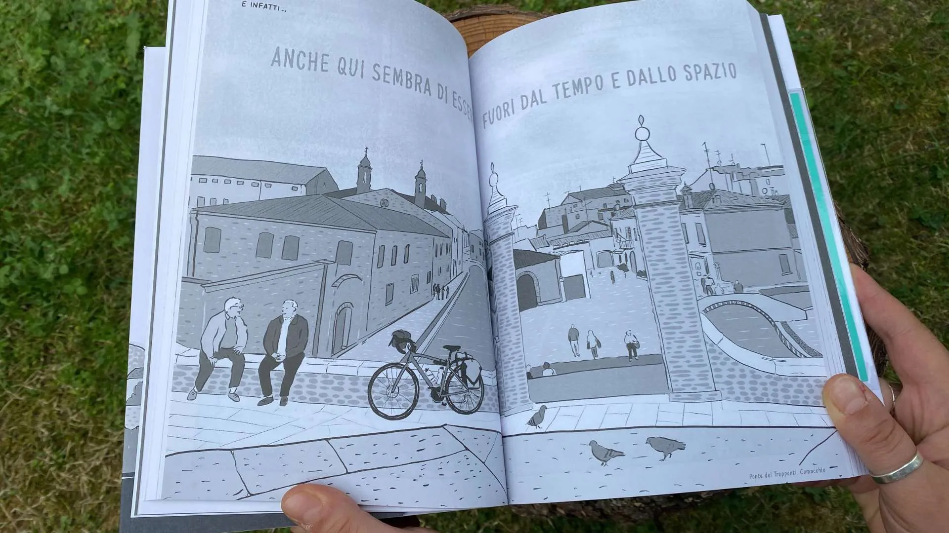 Crocus di Gigi Mondani | Con la stele