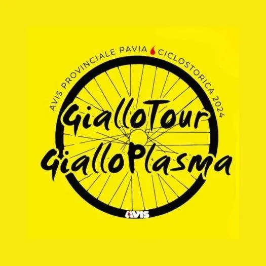 Viaggi e Percorsi Cyclo Ergo Sum